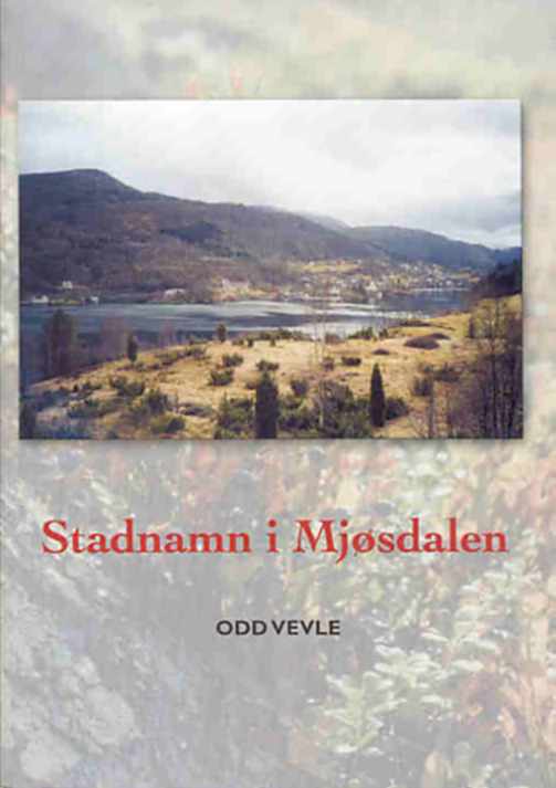 Stadnamn i Mjøsdalen